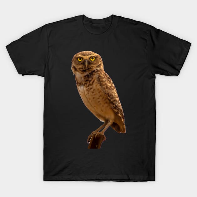 cute owl T-Shirt by rickylabellevie